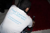 Carpet Cleaners 360331 Image 0
